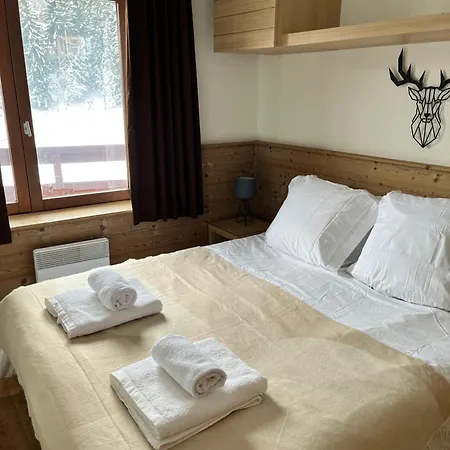 Au Pied Des Pistes, La Tania Apartment *